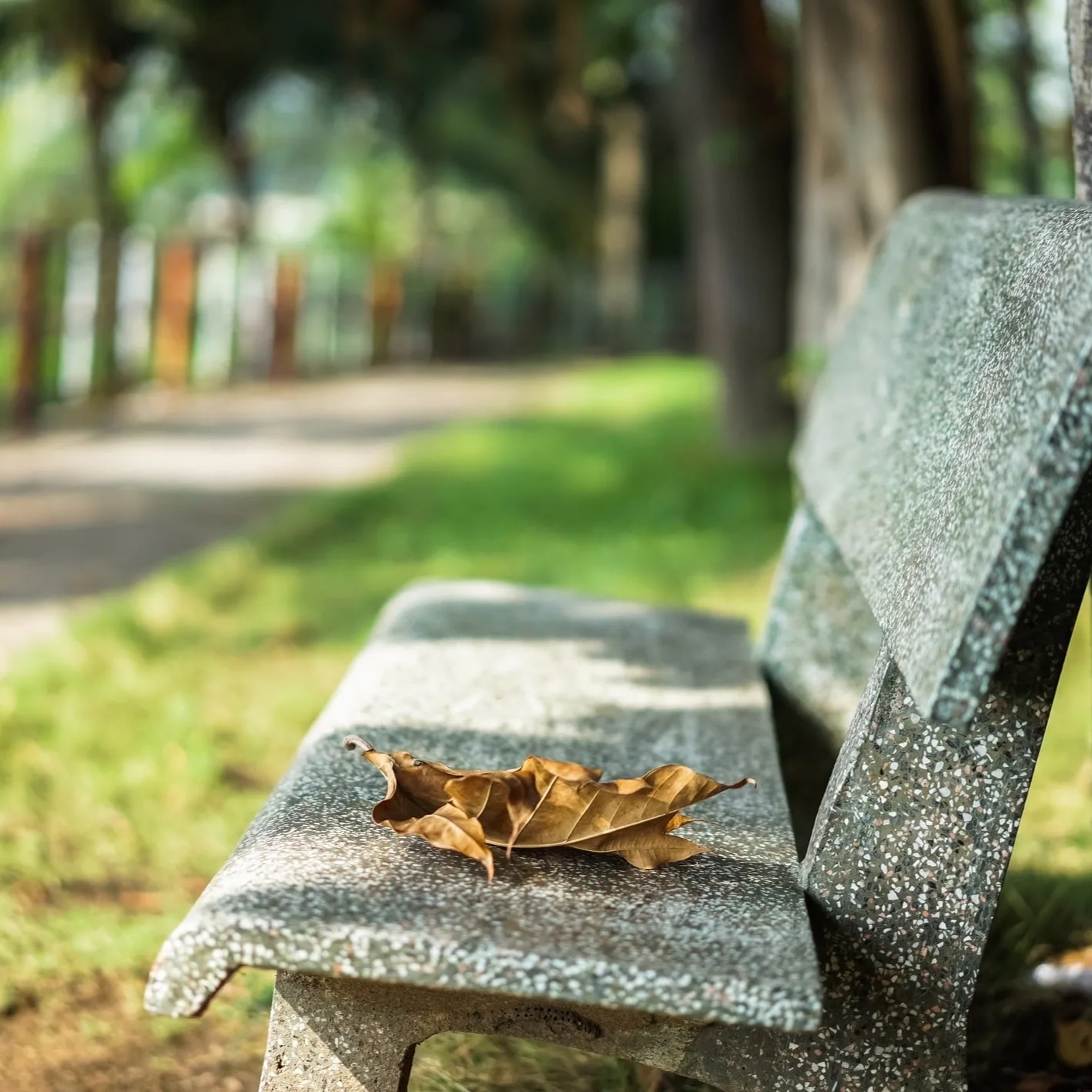 Stone memorial bench in a peaceful garden setting